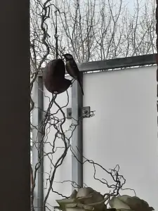 Jacquelien 01 Tussendoortje